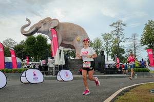 BIB: 
                            <button type="button" onclick="openModal(26528791)" class="btn btn-primary btn-sm float-right btn-popup" data-toggle="modal" data-target=".modal-high-quality">
                        <i class="fas fa-shopping-cart"></i> Add to Cart
                    </button>
                                            <button type="button" onclick="isThisMe(26528791, true)" class="btn btn-success btn-sm float-right btn-popup btn-isme hidden" data-toggle="tooltip" data-placement="bottom" title="นี่คือรูปของคุณใช่ไหม คลิกที่นี่เพื่อเอาเข้าอัลบั้ม">
                        <i class="fas fa-plus"></i> Add to album
                    </button>
                    <button type="button" onclick="isThisMe(26528791, false)" class="btn btn-warning btn-sm float-right btn-popup btn-isnotme hidden">
                        <i class="fas fa-ban"></i> Remove from album
                    </button>